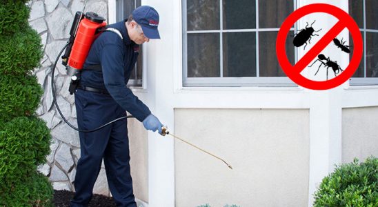 Gerger Bit İlaçlama böcek ilaçlama ve haşere kontrolü — ilaclama-tr.com